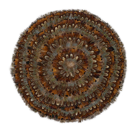 Dark Heart & Blue Almond Pheasant Feather Placemat