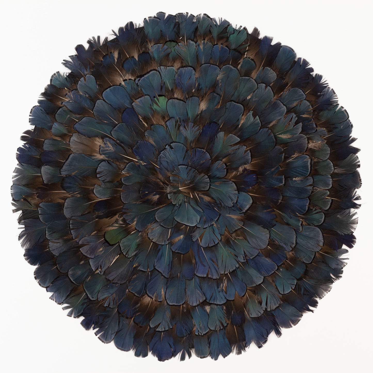 Lady Amherst Bronze Iridescent Feather Placemat