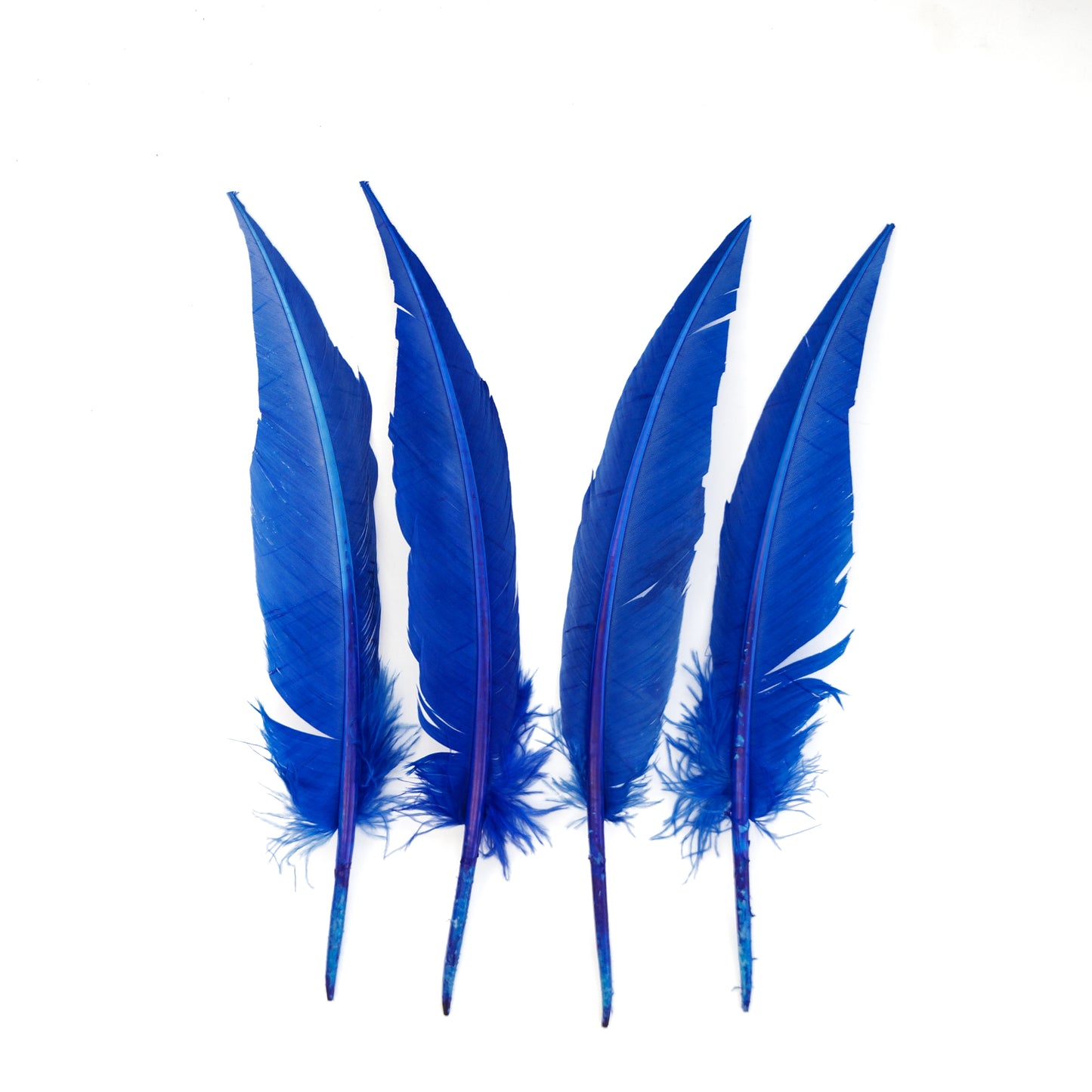 Royal Blue Dagger Turkey Quill Feathers 9-12"
