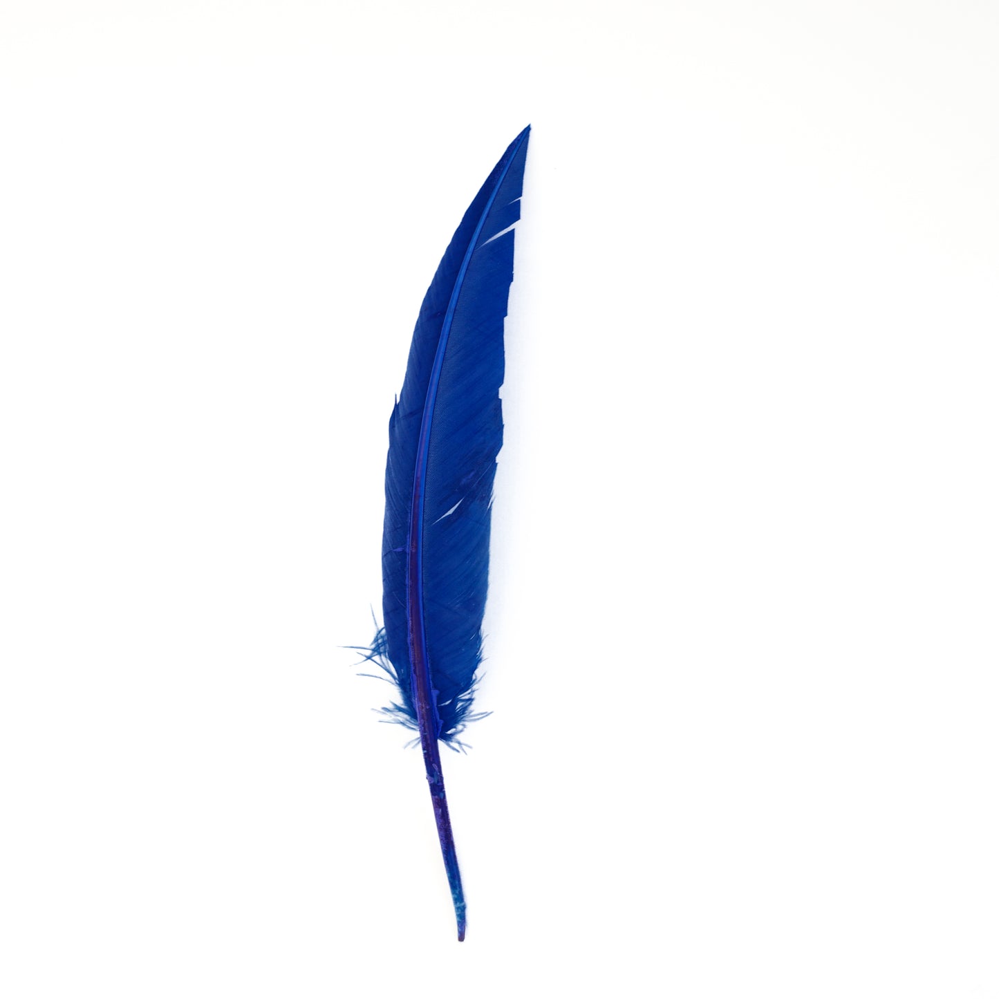 Royal Blue Dagger Turkey Quill Feathers 9-12"