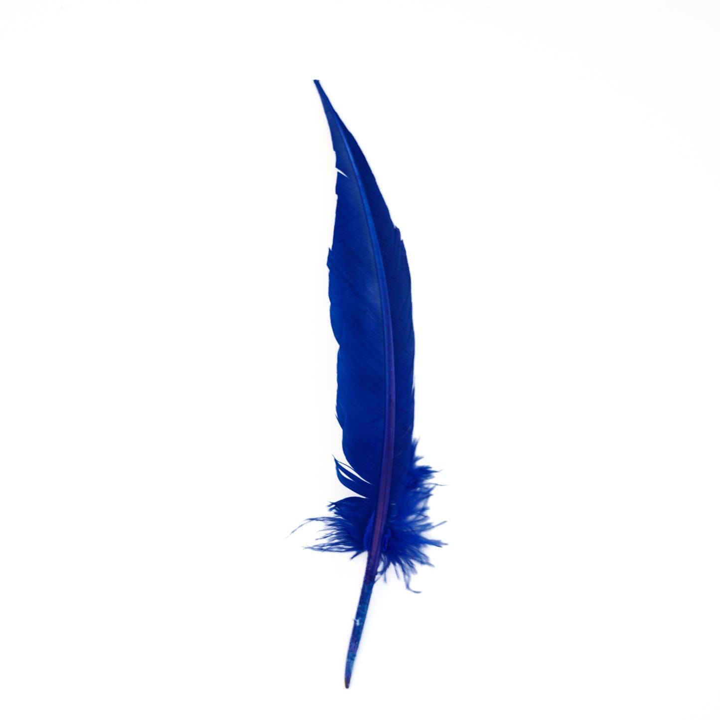 Royal Blue Dagger Turkey Quill Feathers 9-12"