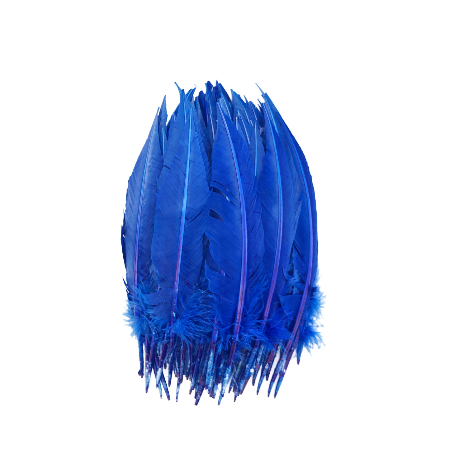 Royal Blue Dagger Turkey Quill Feathers 9-12"