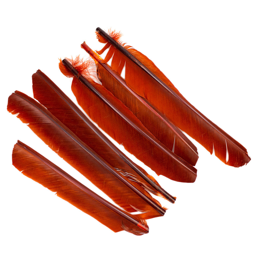 Rust Cut Turkey Pointer Feathers 8-12"