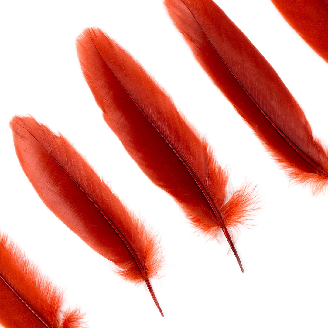 Goose Satinette Feathers Dyed - Rust - 1/4 lb