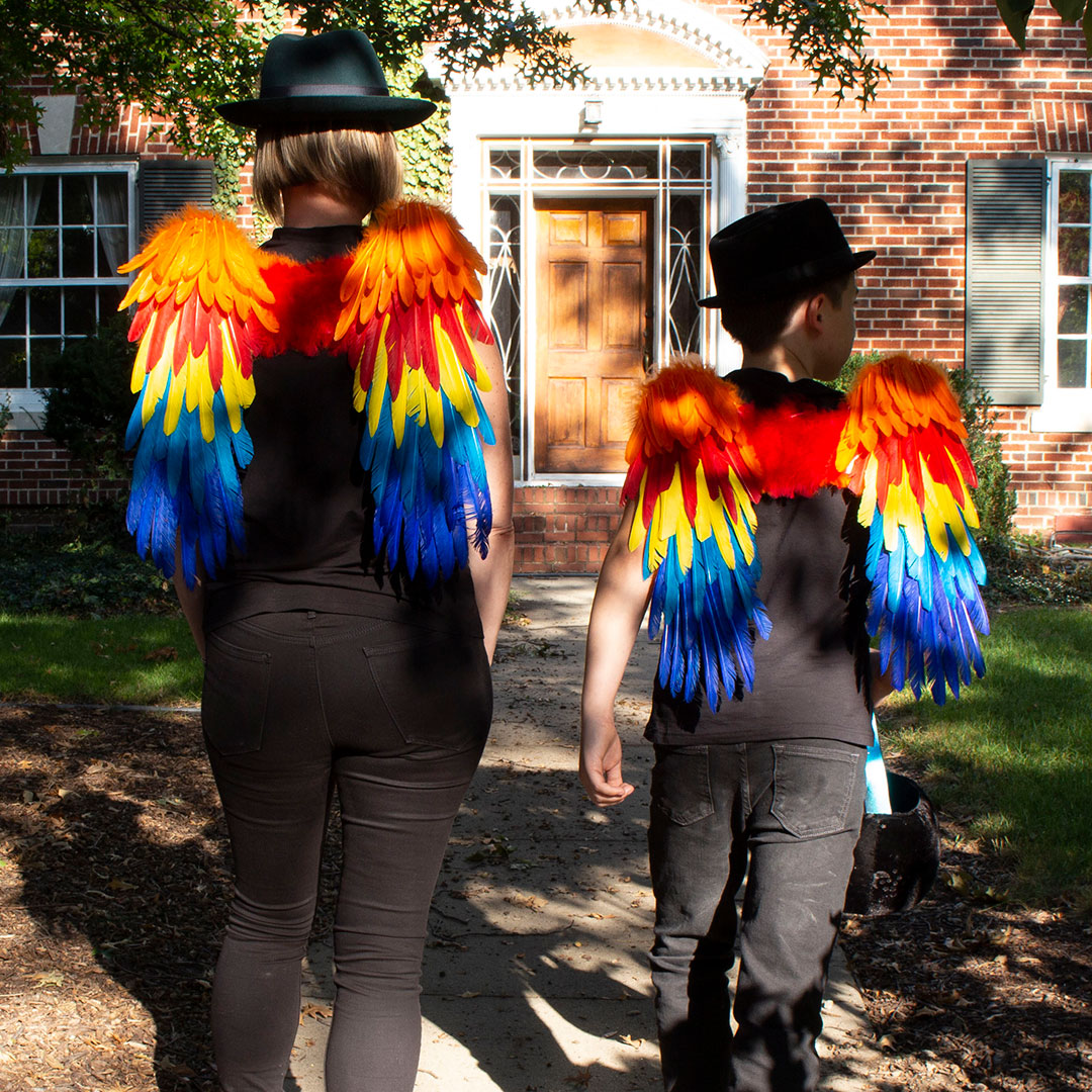 Scarlet Macaw Costume Feather Wings - Feather Wings