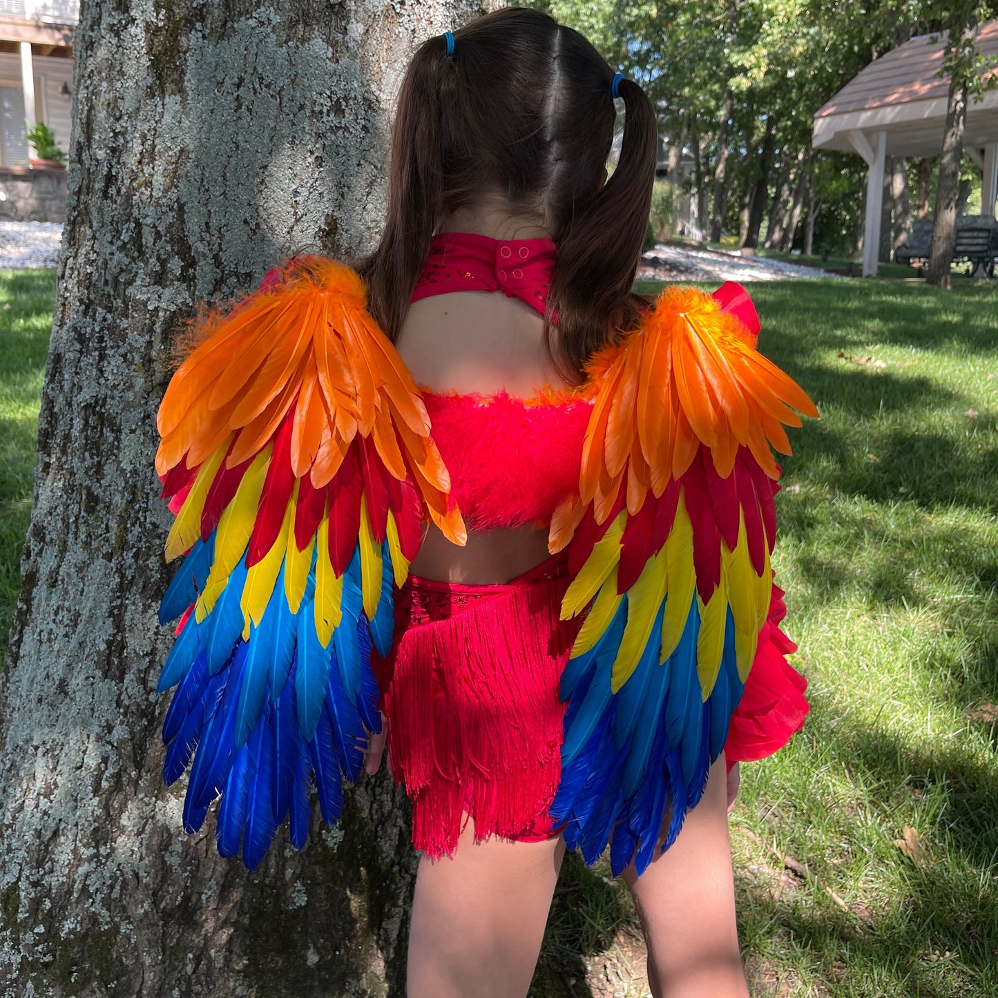 Scarlet Macaw Costume Feather Wings - Feather Wings