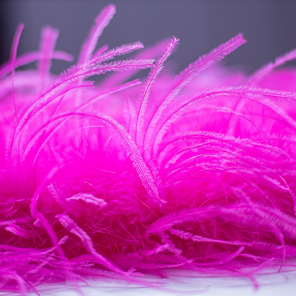 Shocking Hot Pink 2 Ply Ostrich Feather Boa - Ostrich Boa