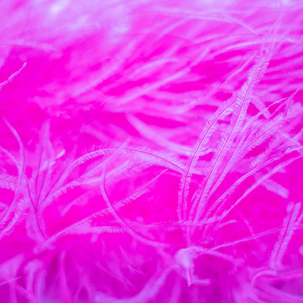 Shocking Hot Pink 2 Ply Ostrich Feather Boa - Ostrich Boa