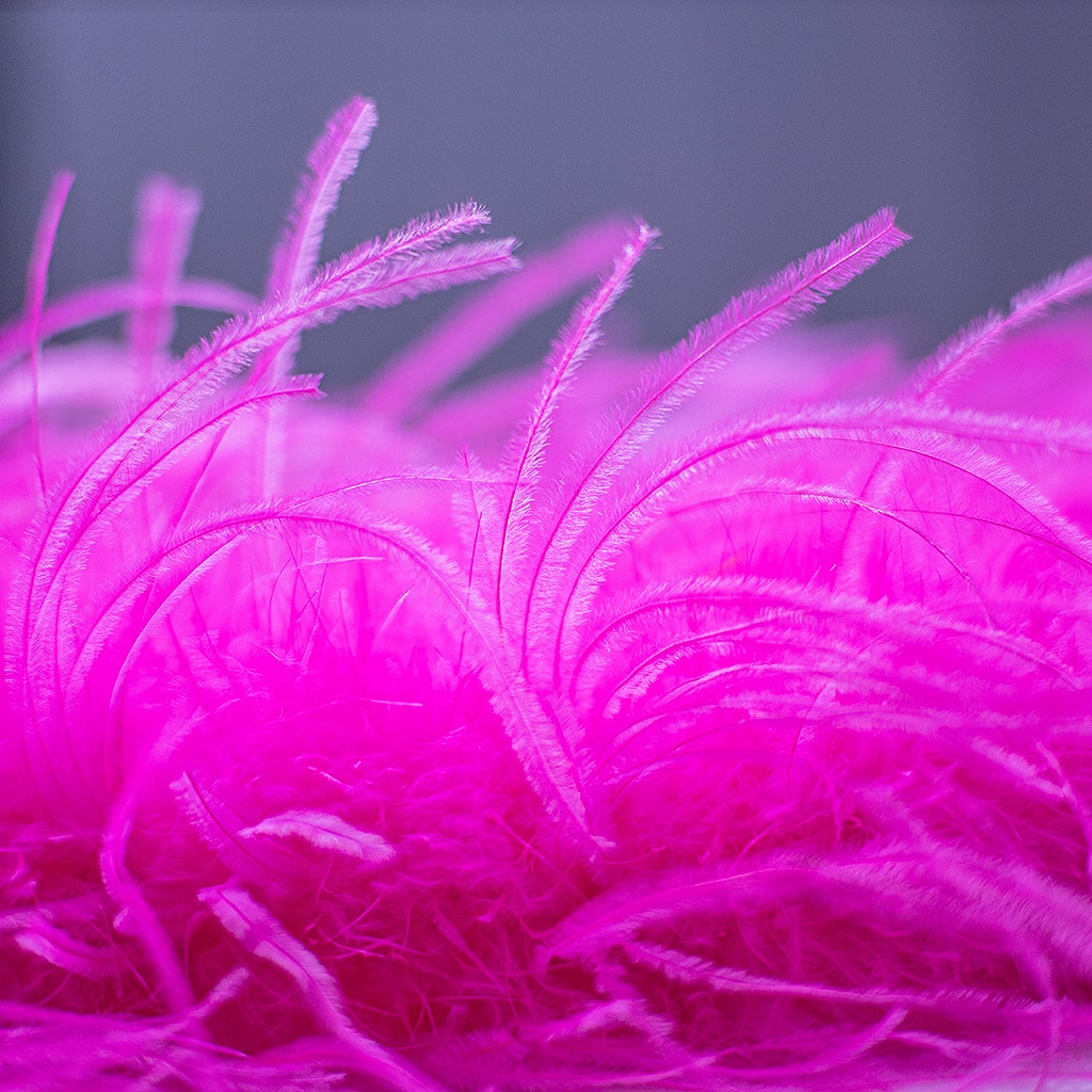 Shocking Hot Pink 2 Ply Ostrich Feather Boa - Ostrich Boa