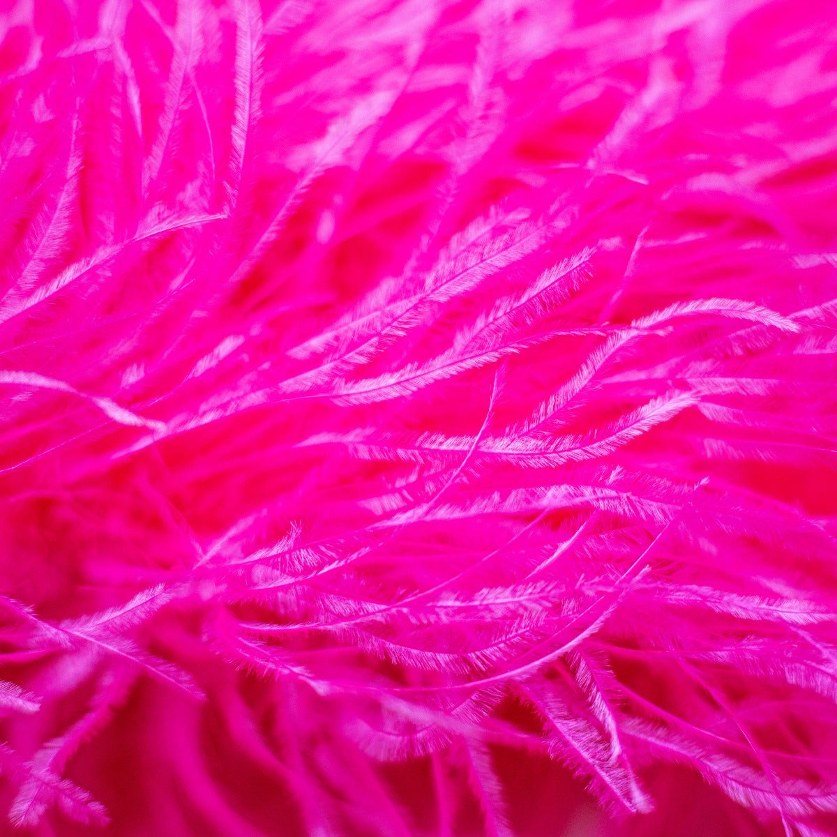 Shocking Hot Pink 3 Ply Ostrich Feather Boa - Ostrich Boa