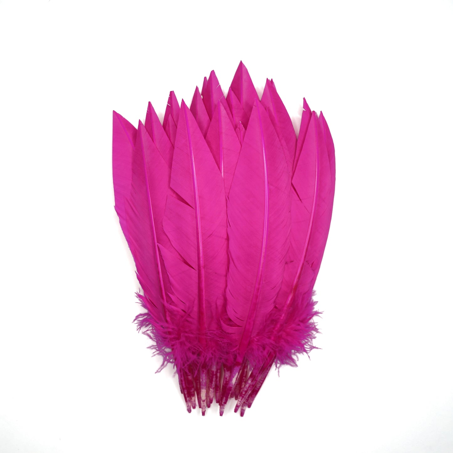 Shocking Pink Dagger Turkey Quill Feathers 9-12"