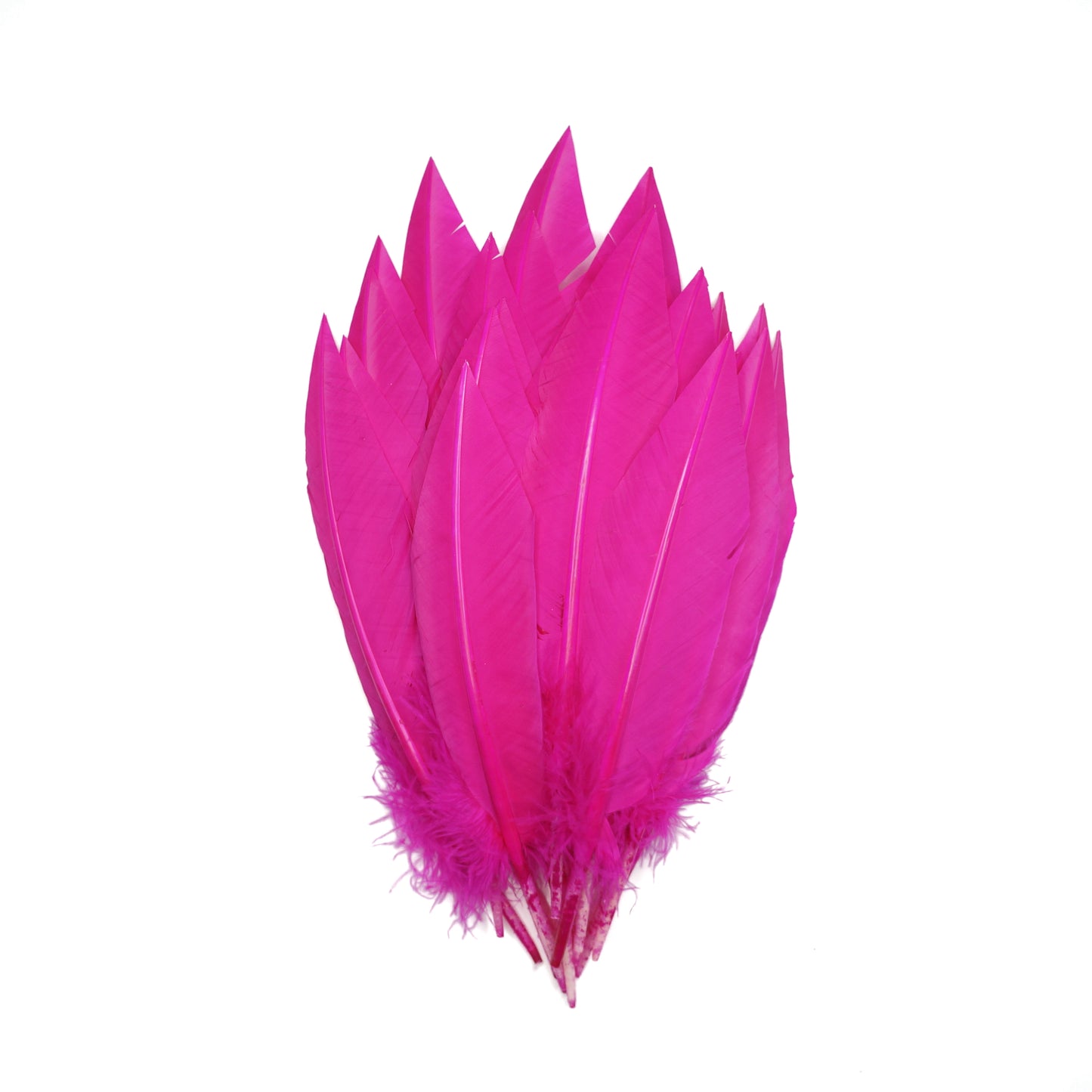 Shocking Pink Dagger Turkey Quill Feathers 9-12"