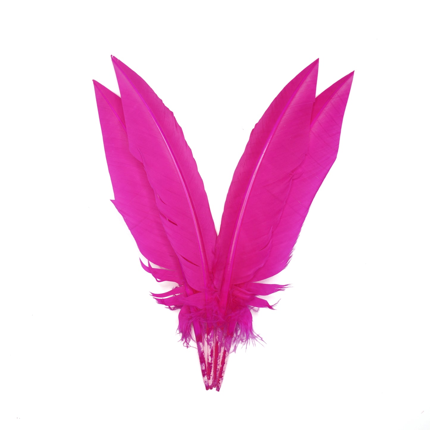 Shocking Pink Dagger Turkey Quill Feathers 9-12"