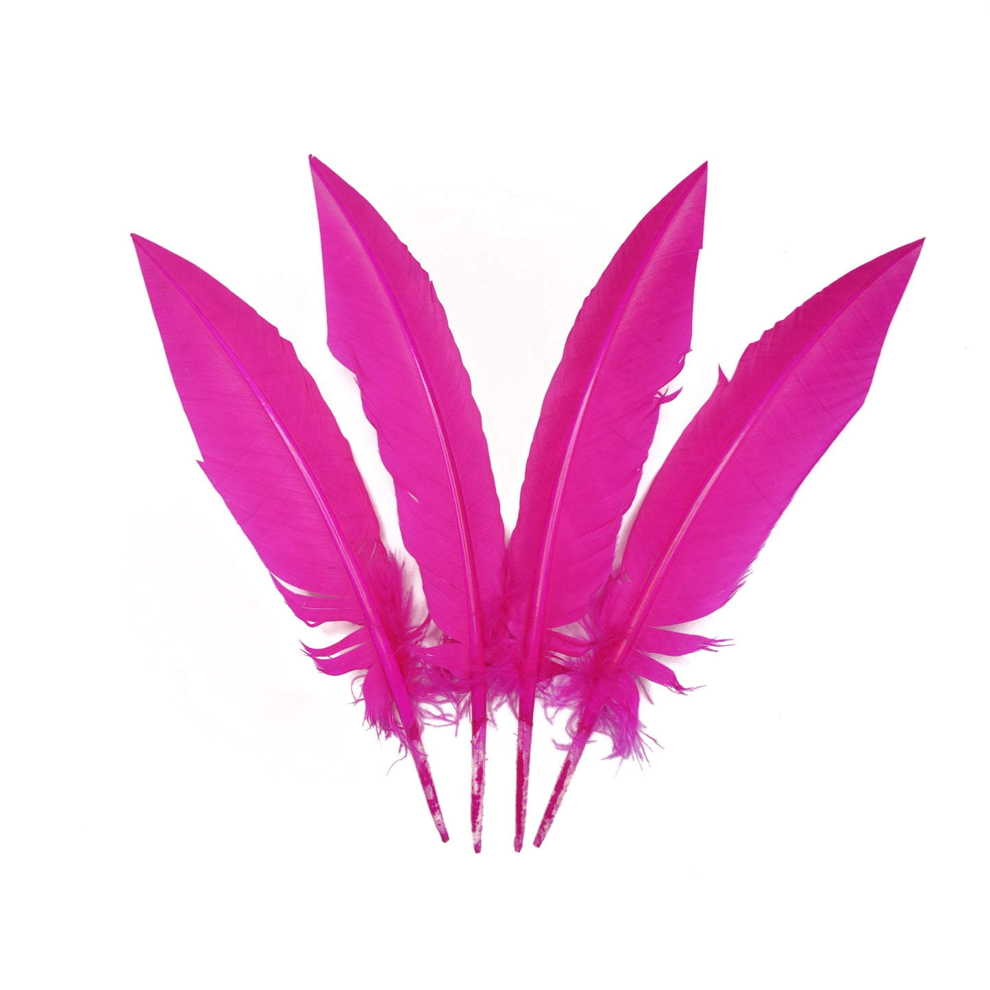 Shocking Pink Dagger Turkey Quill Feathers 9-12"