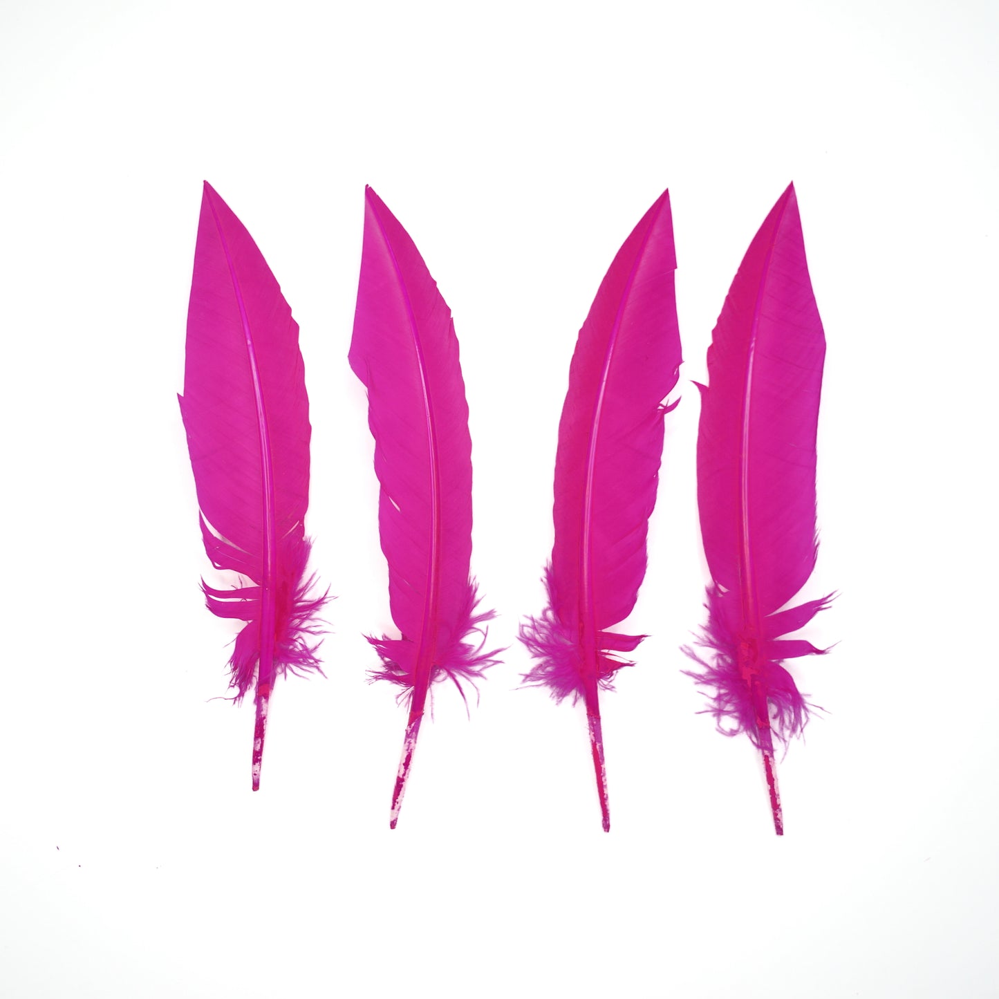Shocking Pink Dagger Turkey Quill Feathers 9-12"