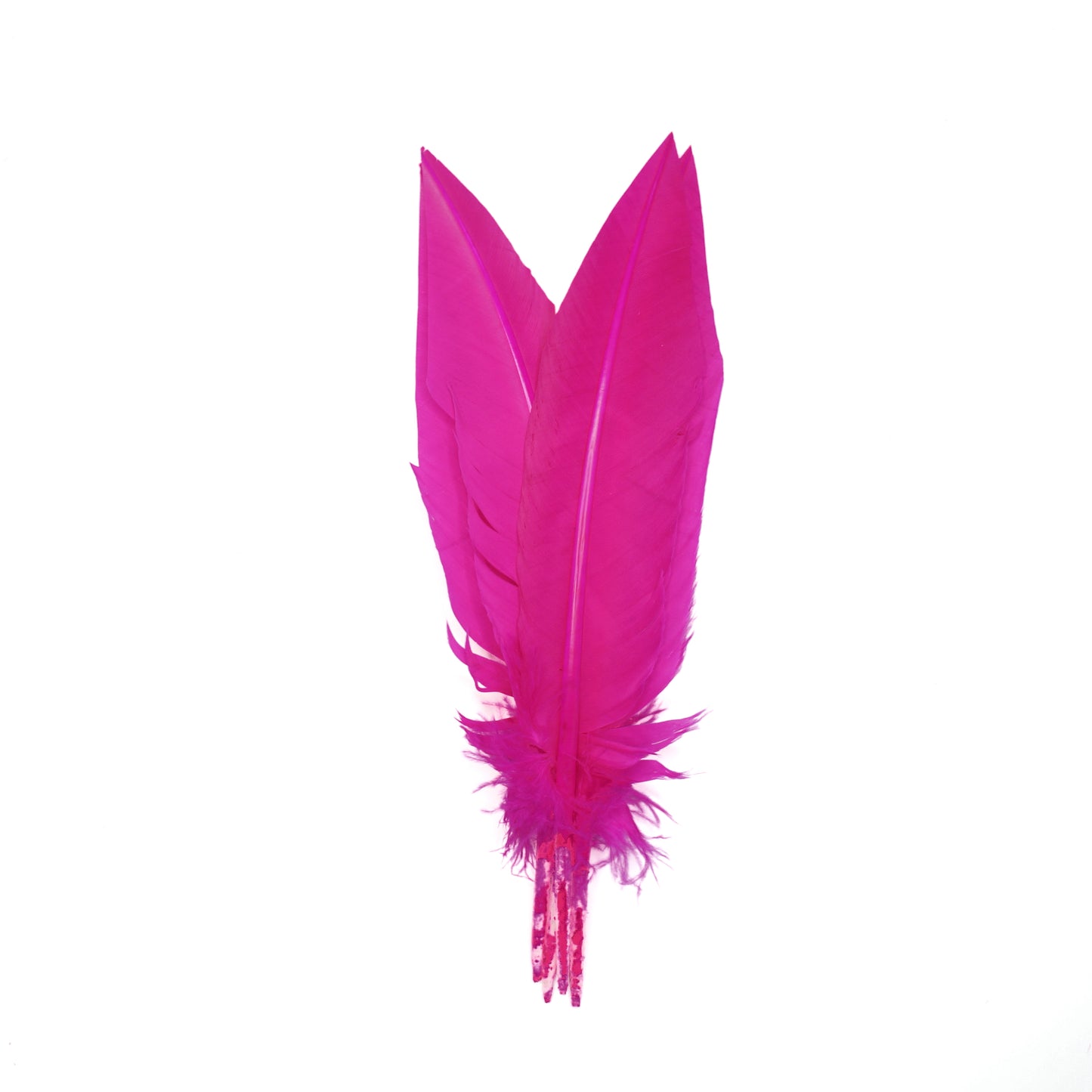 Shocking Pink Dagger Turkey Quill Feathers 9-12"