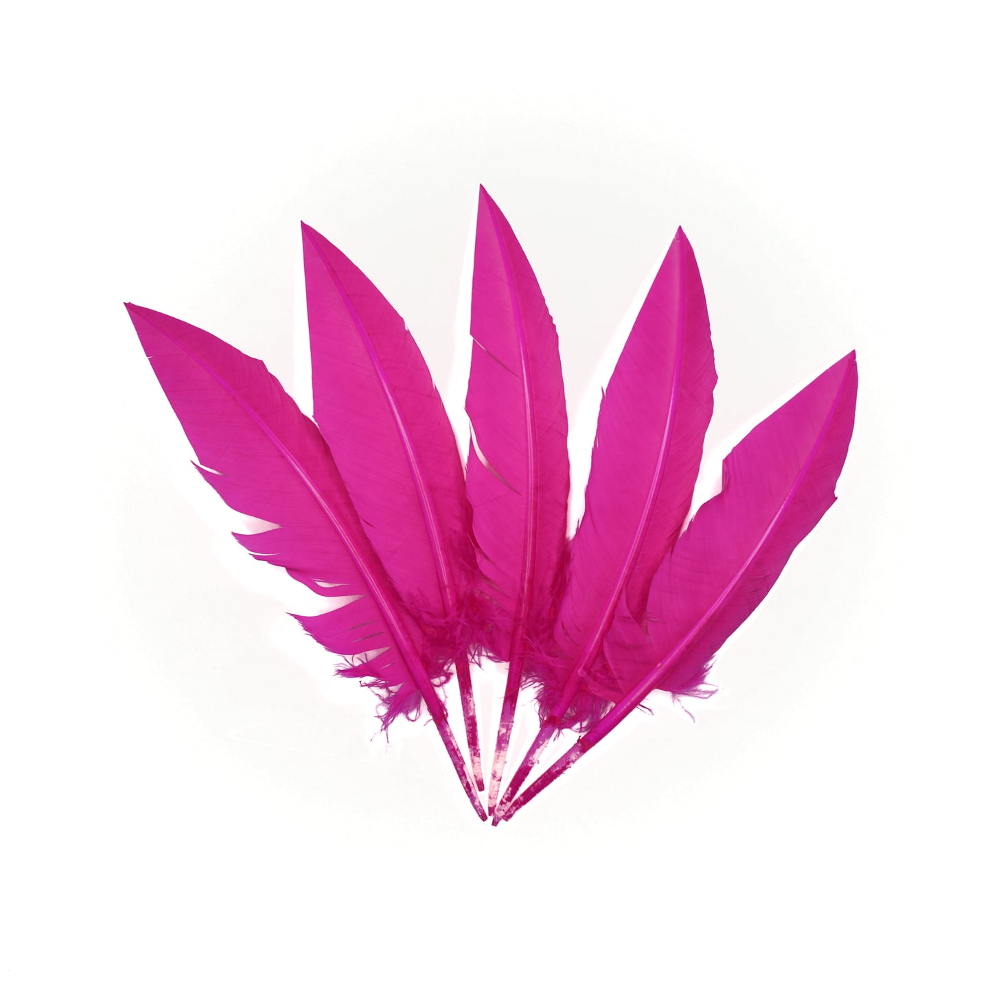 Shocking Pink Dagger Turkey Quill Feathers 9-12"