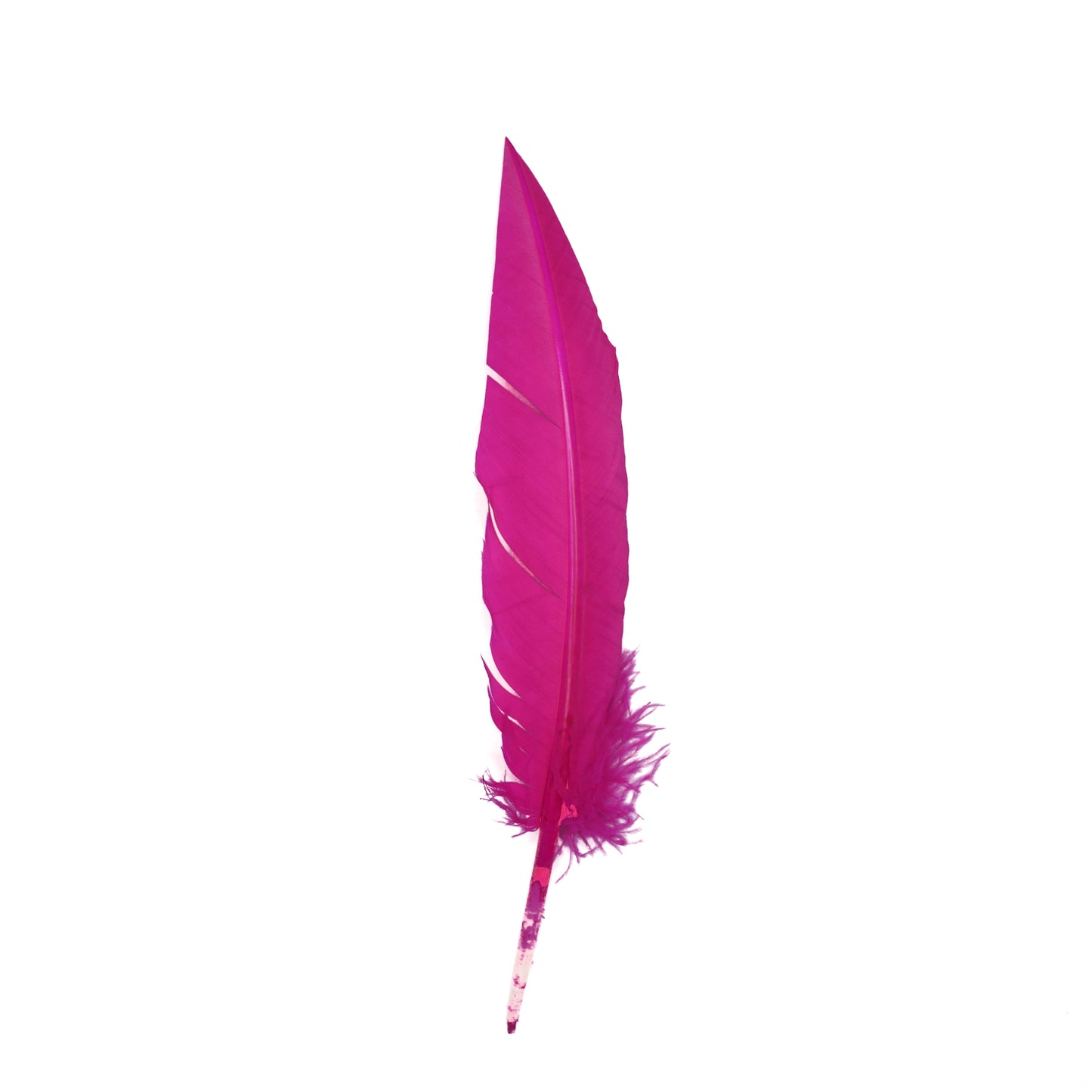 Shocking Pink Dagger Turkey Quill Feathers 9-12"