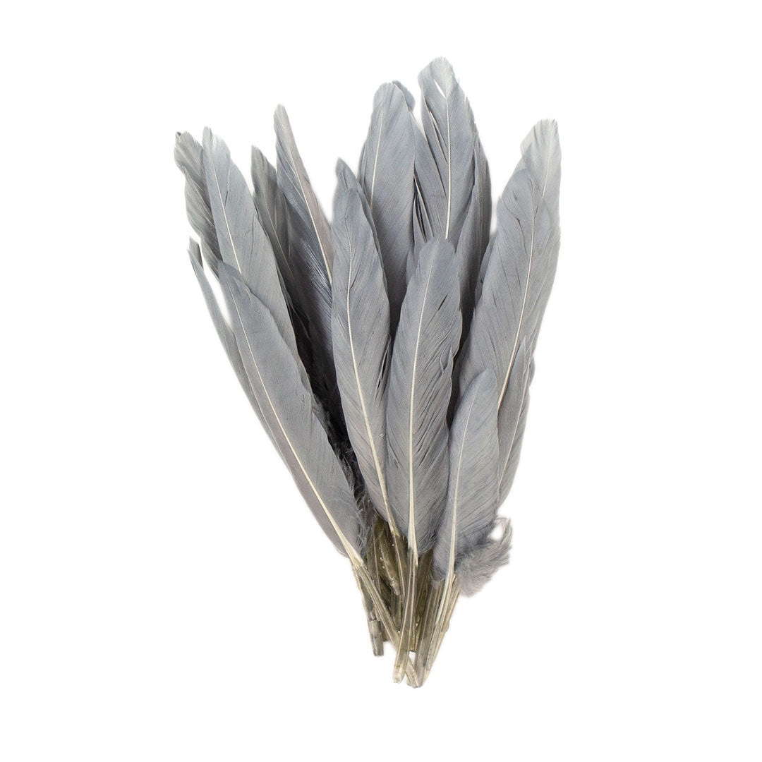 Duck Cosse Feathers - 3 - 6"-Silver