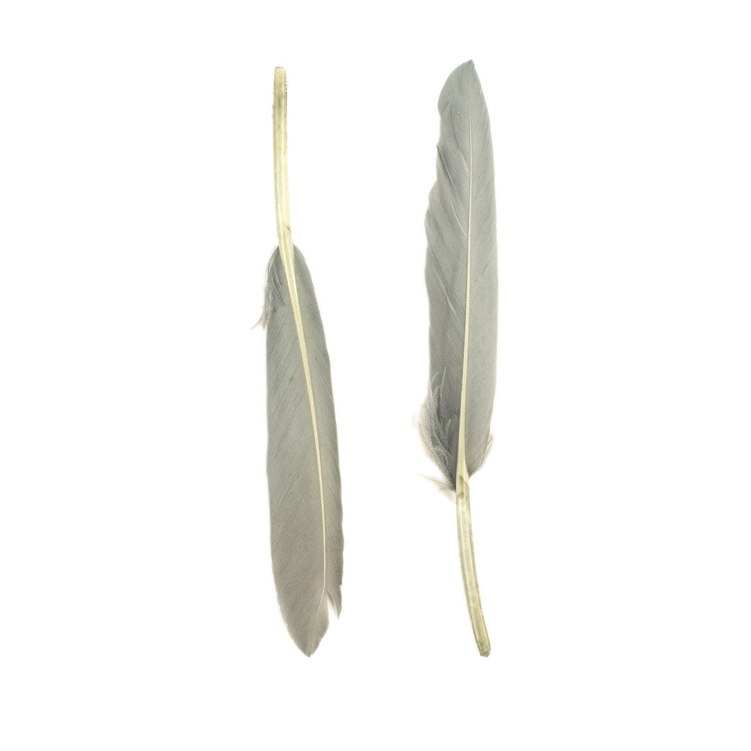 Duck Cosse Feathers - 3 - 6"-Silver