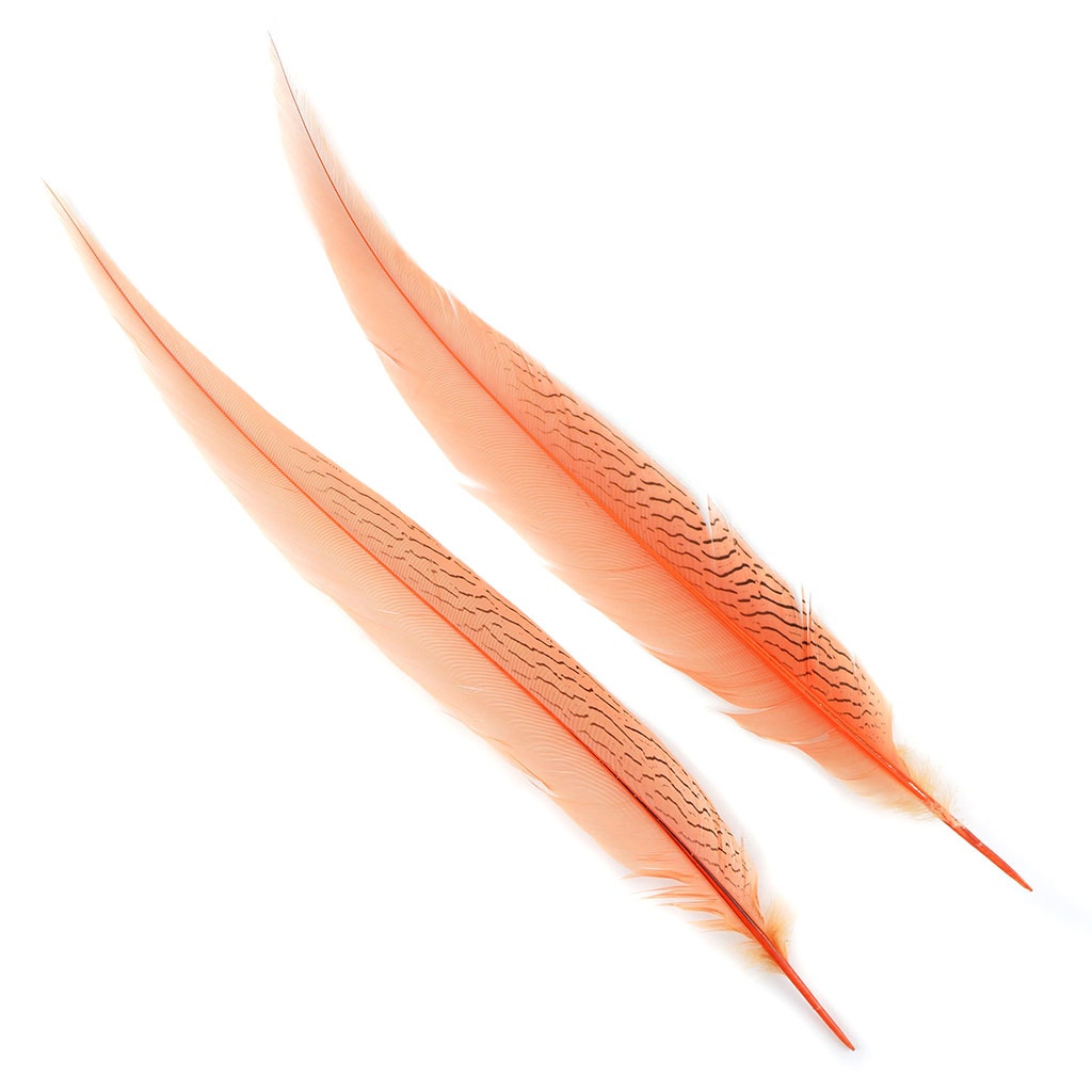 Silver Pheasant Tail Feathers Dyed Apricot Blush - Feathers