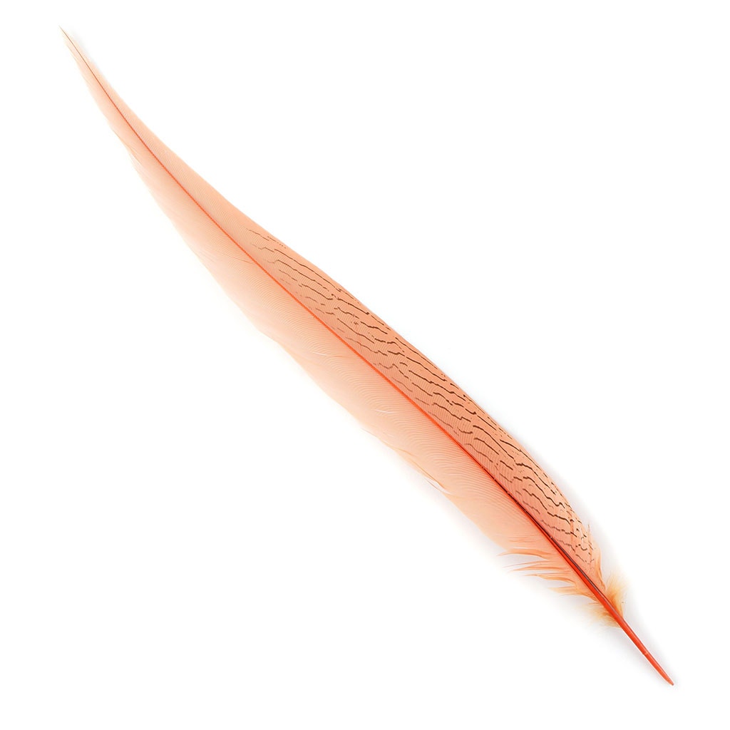 Silver Pheasant Tail Feathers Dyed Apricot Blush - Feathers