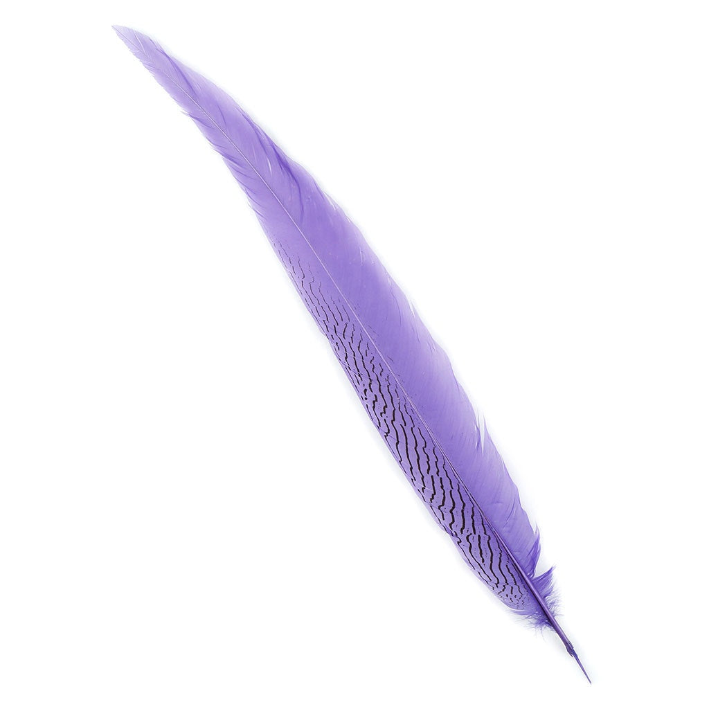 Silver Pheasant Tail Feathers Dyed Lavender - Feathers