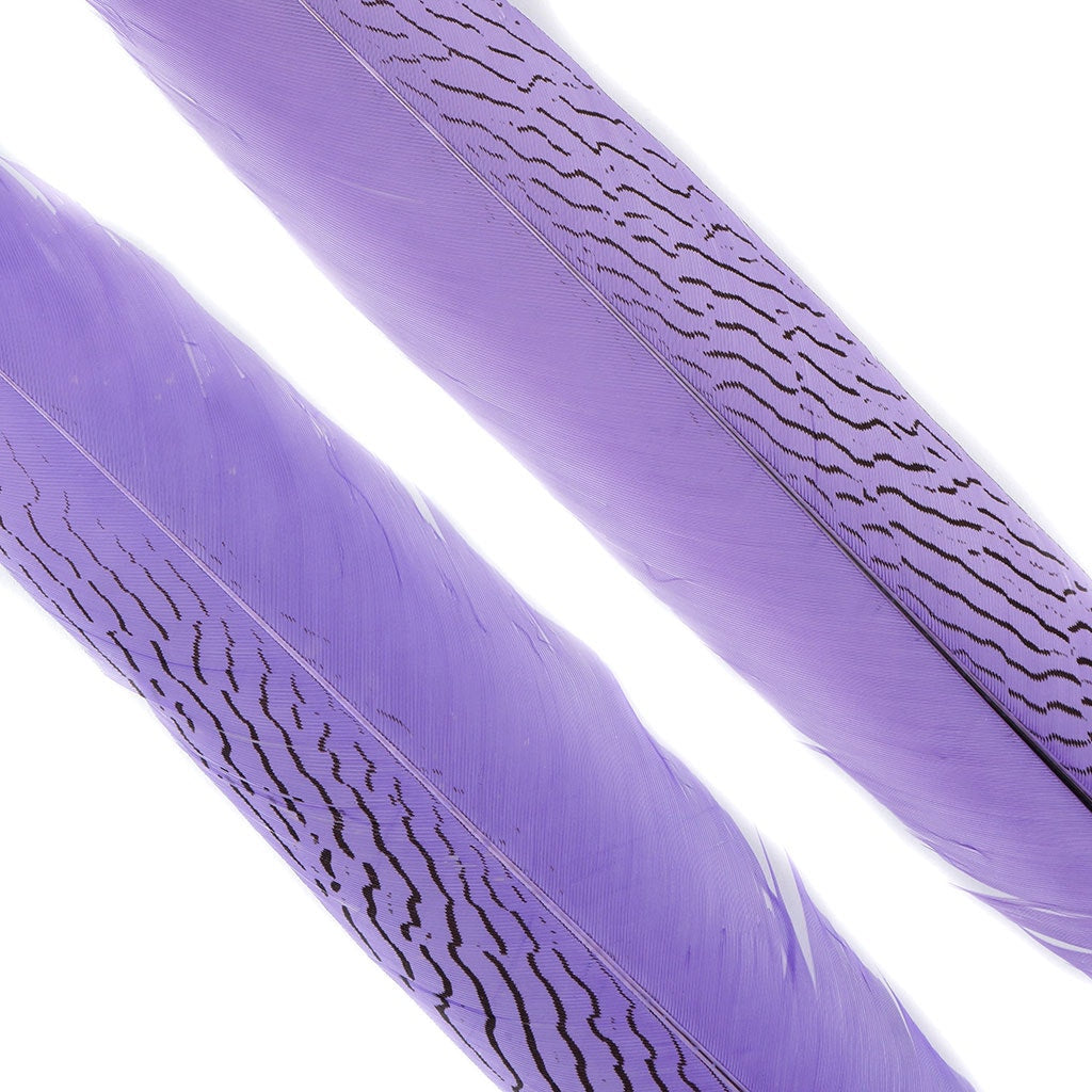 Silver Pheasant Tail Feathers Dyed Lavender - Feathers