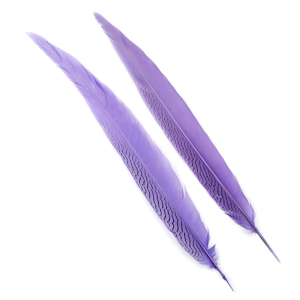 Silver Pheasant Tail Feathers Dyed Lavender - Feathers