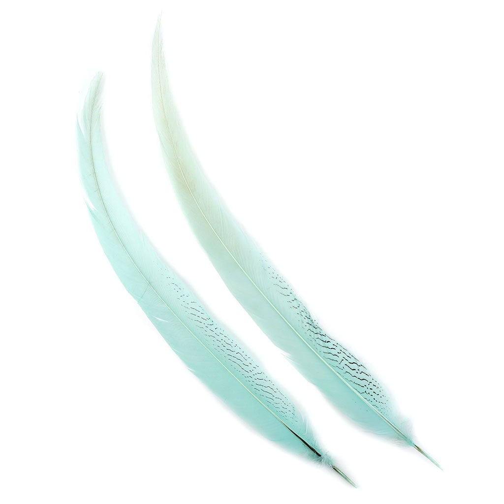 Silver Pheasant Tail Feathers Dyed Mint - Feathers