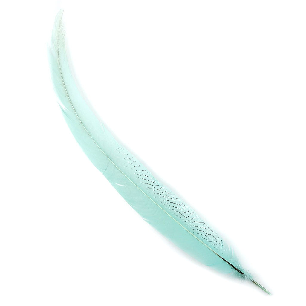 Silver Pheasant Tail Feathers Dyed Mint - Feathers