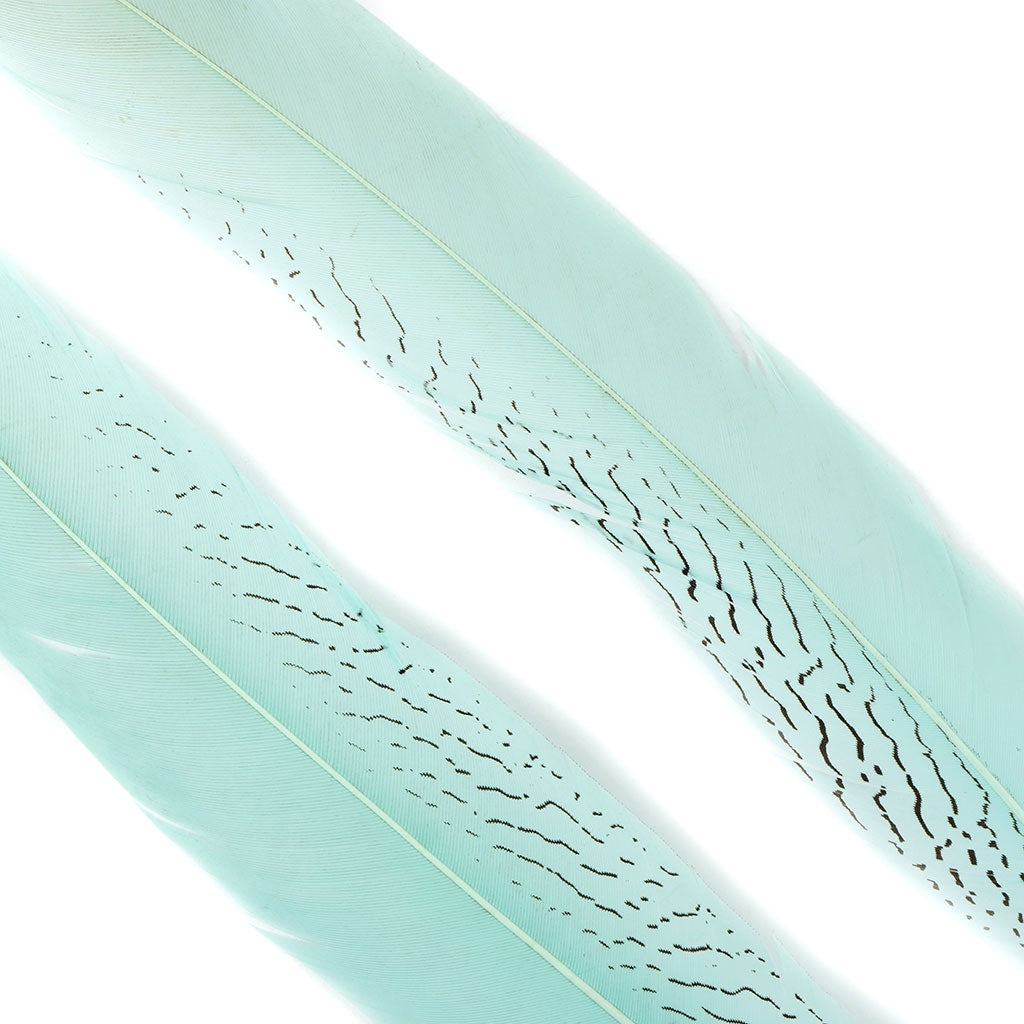 Silver Pheasant Tail Feathers Dyed Mint - Feathers