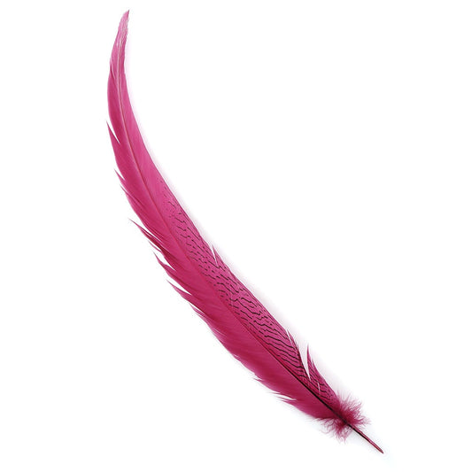 Silver Pheasant Tail Feathers Dyed Raspberry Sorbet - Feathers