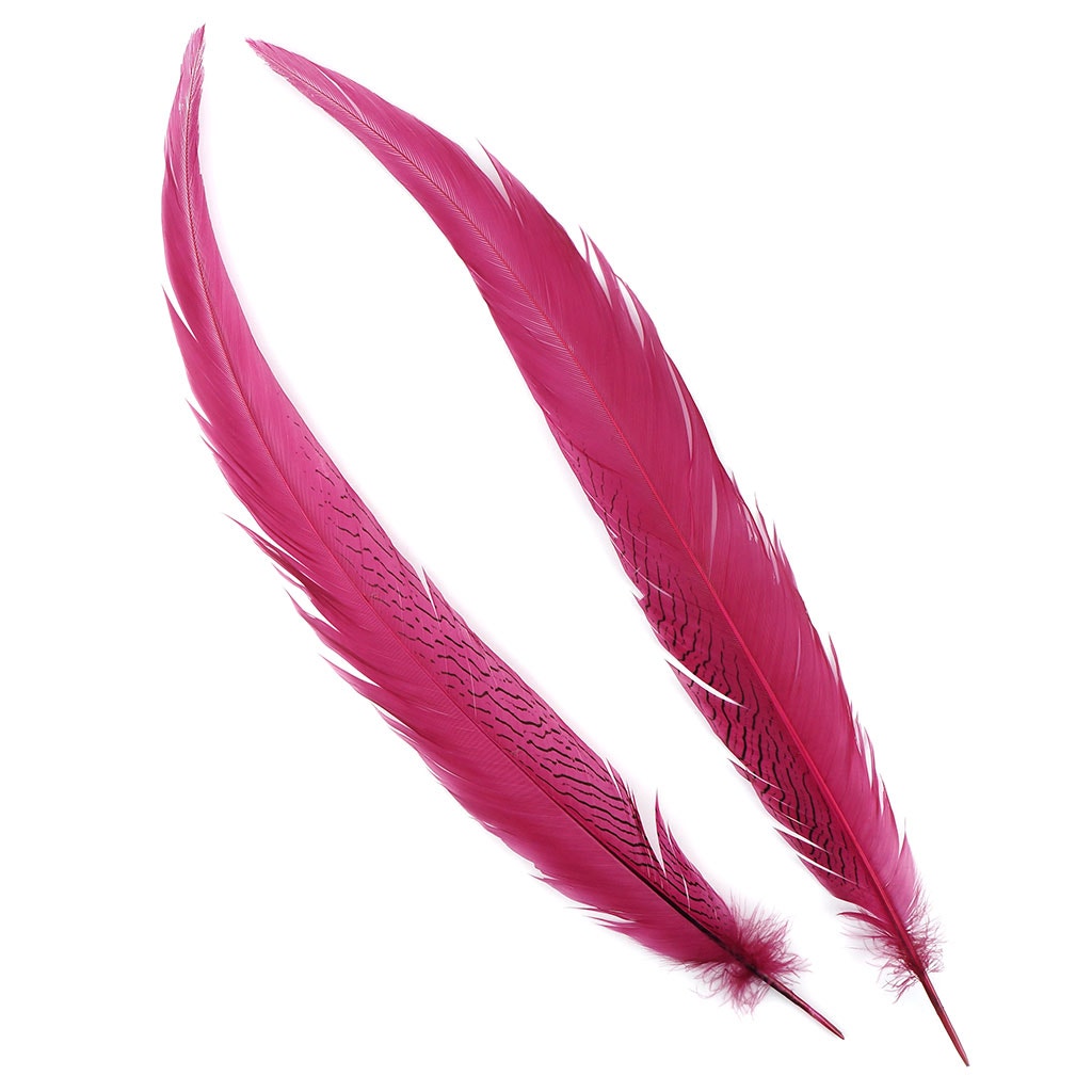 Silver Pheasant Tail Feathers Dyed Raspberry Sorbet - Feathers