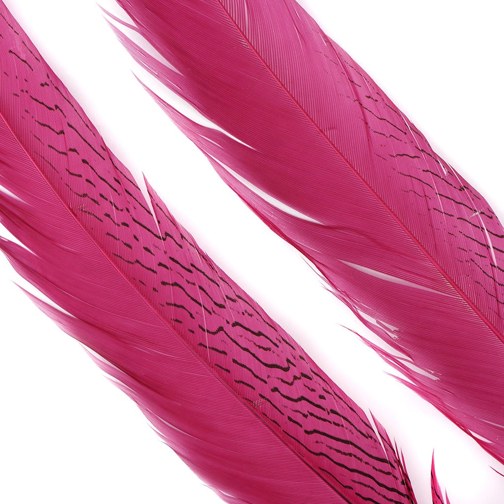 Silver Pheasant Tail Feathers Dyed Raspberry Sorbet - Feathers