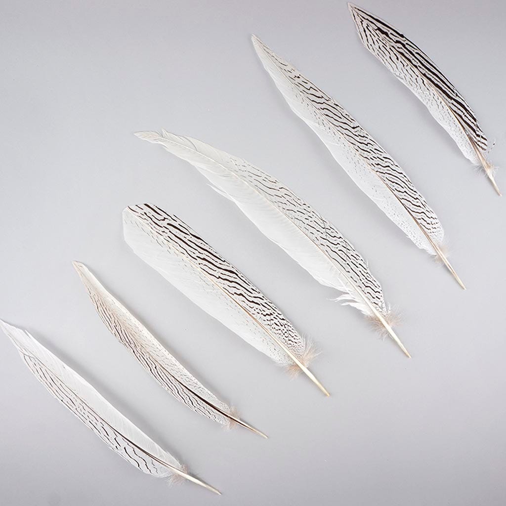 Silver Pheasant Tail Feathers - Natural - Feathers