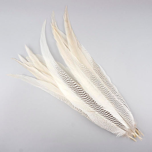 Silver Pheasant Tail Feathers - Natural - 20 - 25’’ - Feathers