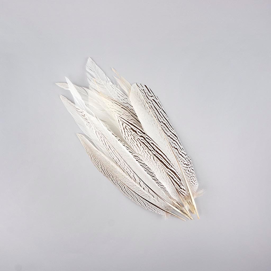 Silver Pheasant Tail Feathers - Natural - Feathers