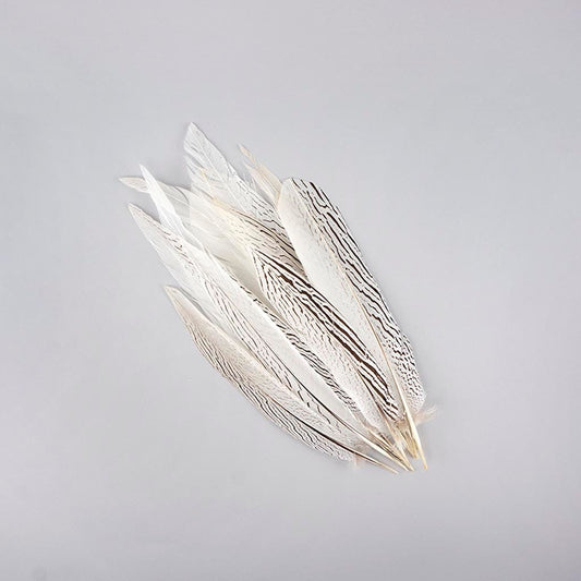 Silver Pheasant Tail Feathers - Natural - Feathers