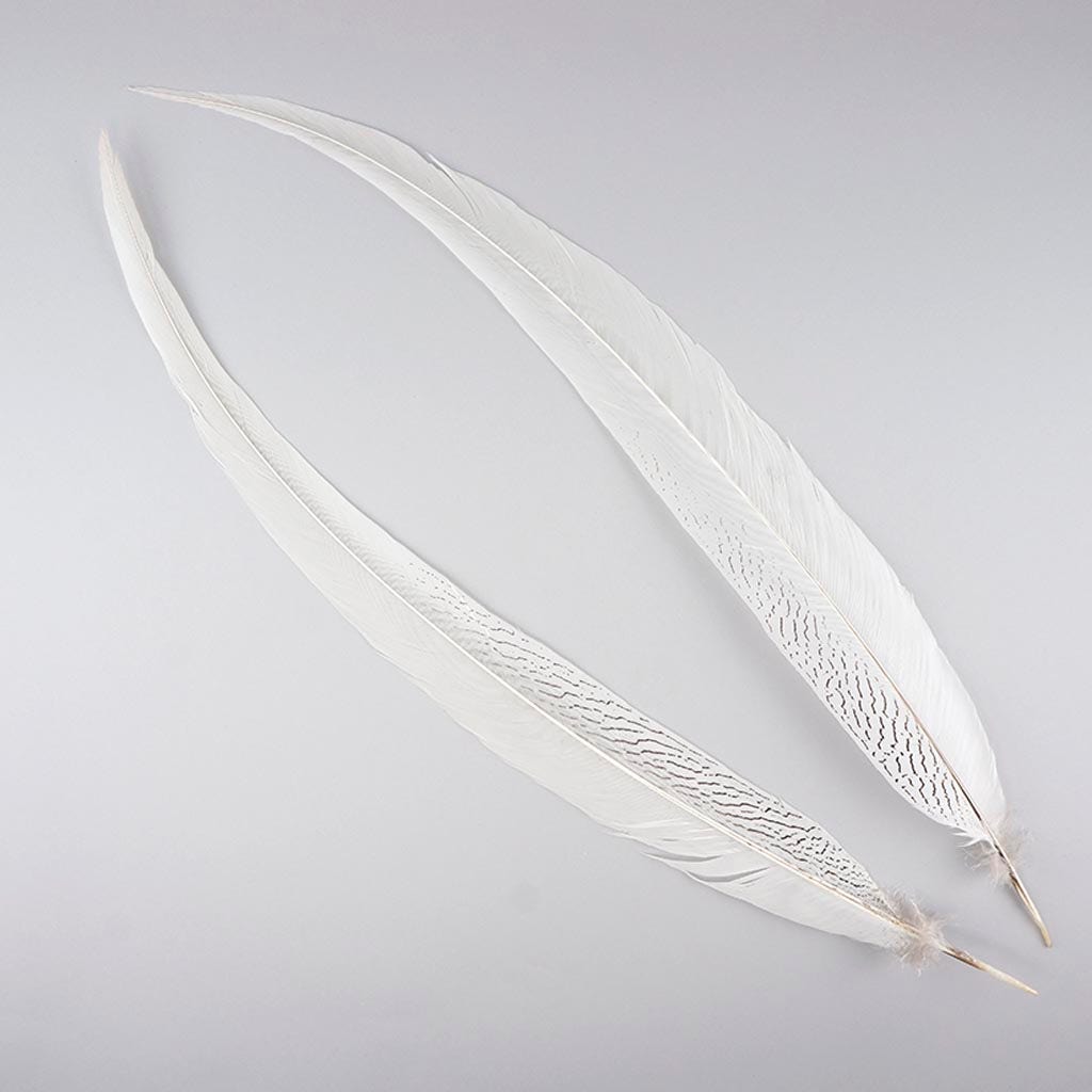 Silver Pheasant Tail Feathers - Natural - Feathers