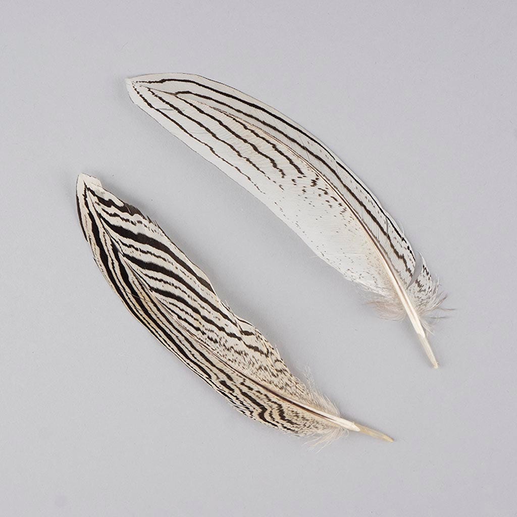 Silver Pheasant Tail Feathers - Natural - Feathers