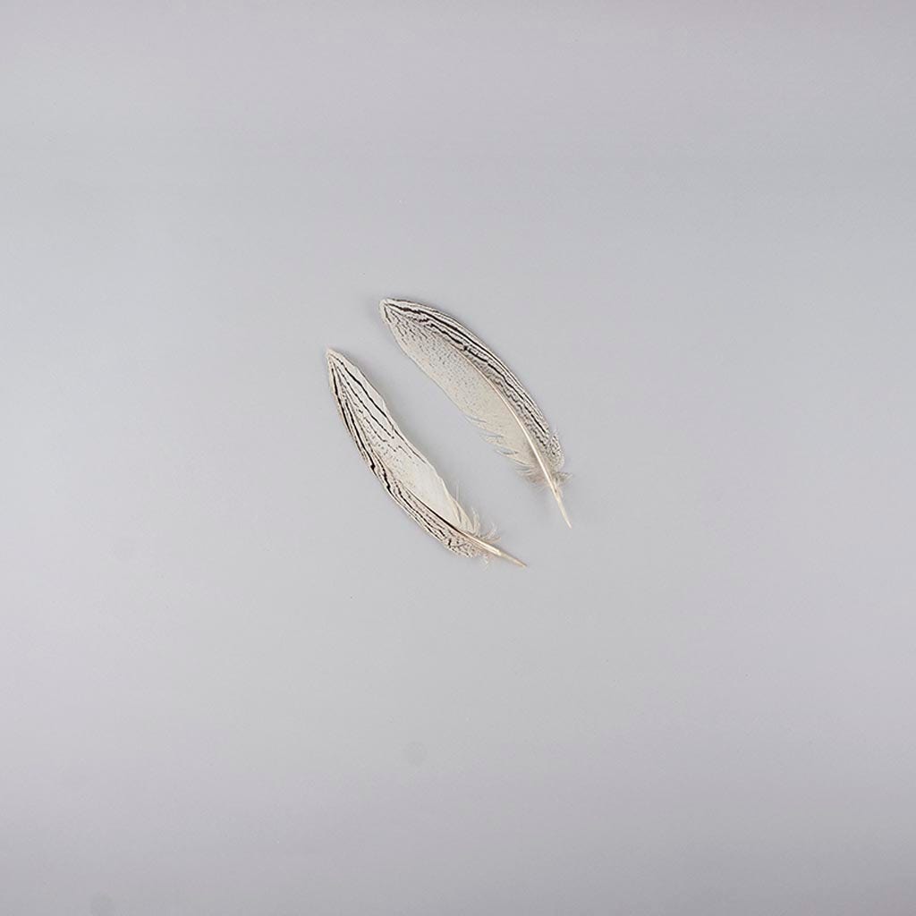 Silver Pheasant Tail Feathers - Natural - Feathers