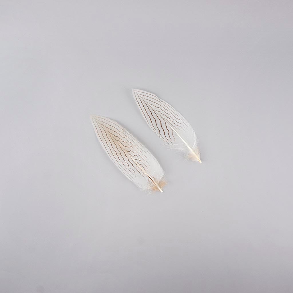 Silver Pheasant Tail Feathers - Natural - 6 - 8’’ - Feathers