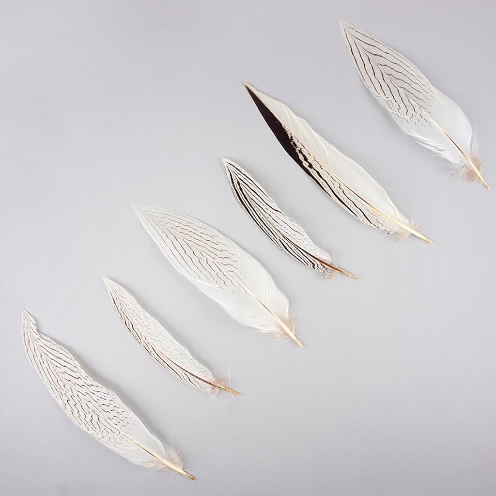 Silver Pheasant Tail Feathers - Natural - 8 - 12’’ - Feathers