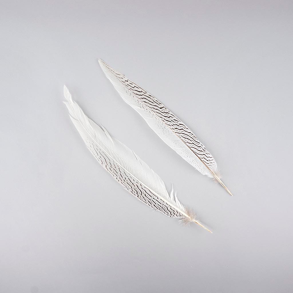 Silver Pheasant Tail Feathers - Natural - Feathers