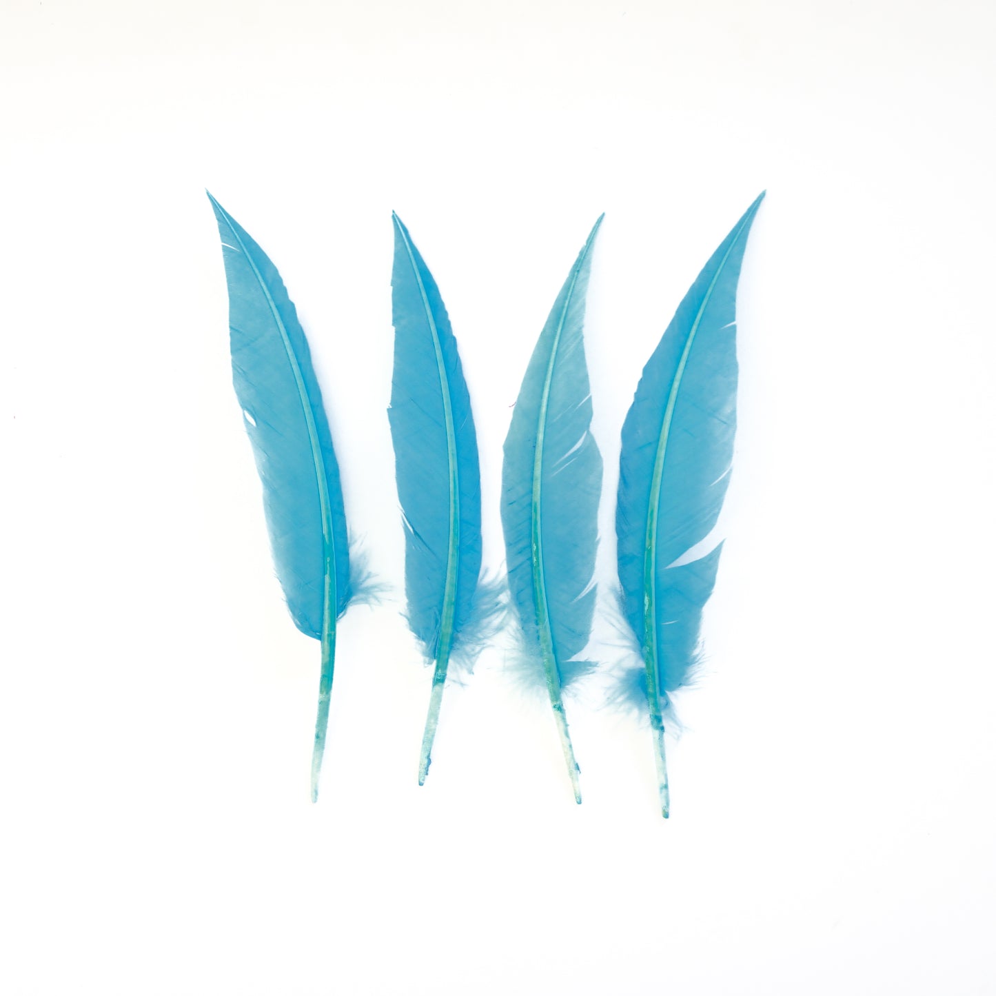 Sky Blue Dagger Turkey Quill Feathers 9-12"