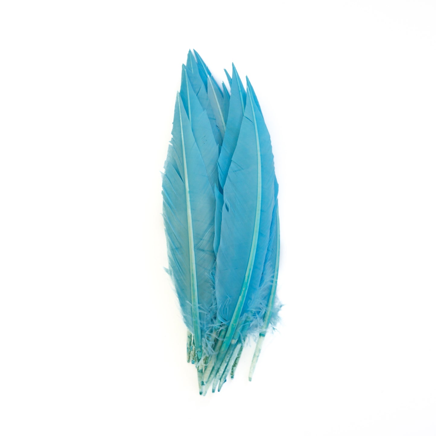 Sky Blue Dagger Turkey Quill Feathers 9-12"