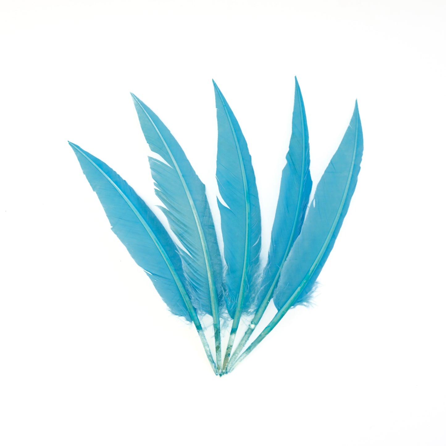 Sky Blue Dagger Turkey Quill Feathers 9-12"