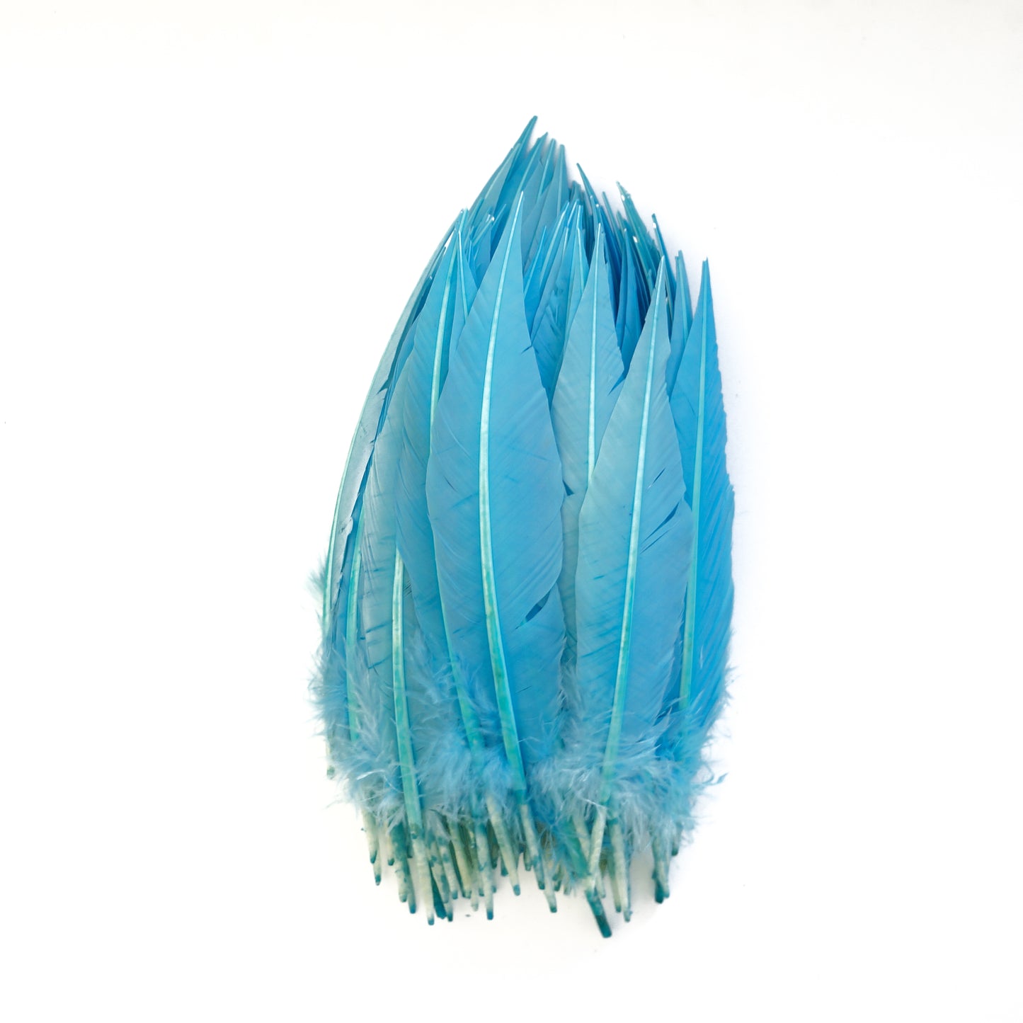 Sky Blue Dagger Turkey Quill Feathers 9-12"