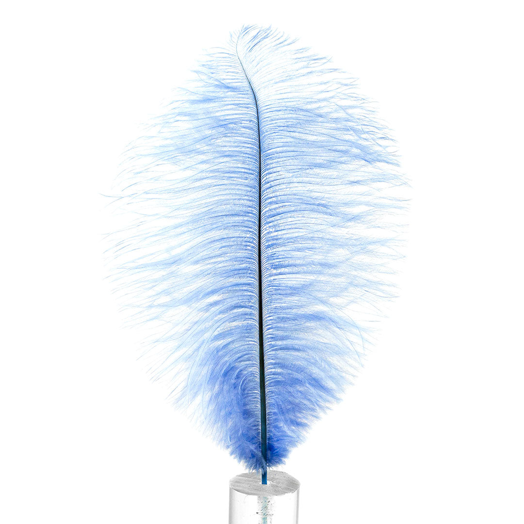 Ostrich Feathers 13-16" Drabs - Sky